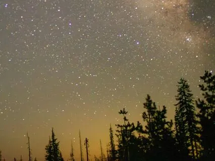 Roots Of Stillness | A Grounding Sound Bath