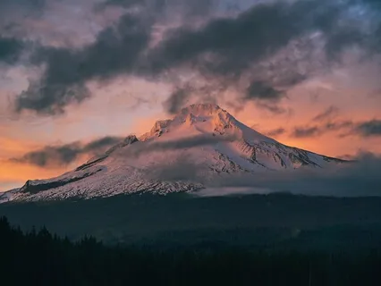 Rose Garden (Featuring Madhu Anziani)
