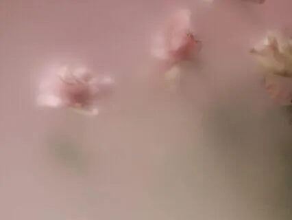 Rose Petals Of Acceptance