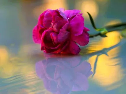 Rose Water Aura Healing