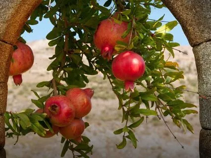 Jewish Yoga Nidra For Compassion: Through Five Gates