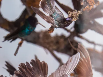 Ross Christopher - Greta