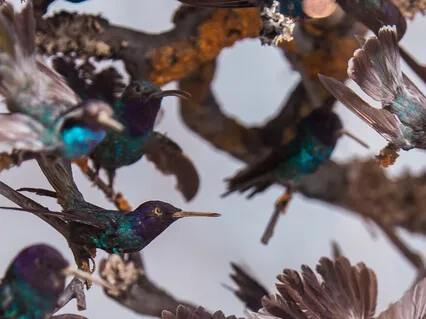 Ross Christopher - The Only Way Out