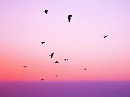 Ross Christopher - They Are My Love