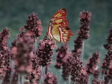 Rotation Of Consciousness & The 7 Energetic Centers