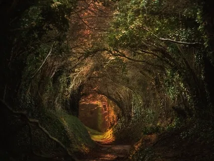 Rotation Of Consciousness - Stress Module With Music