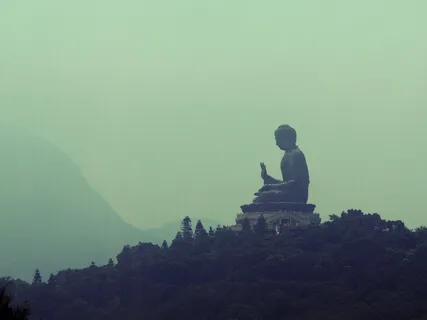 RotMC: Setting The Wheel Of Dhamma In Motion