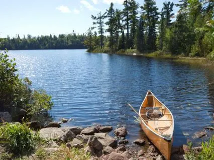Rowing To Harmony - Envision Peace