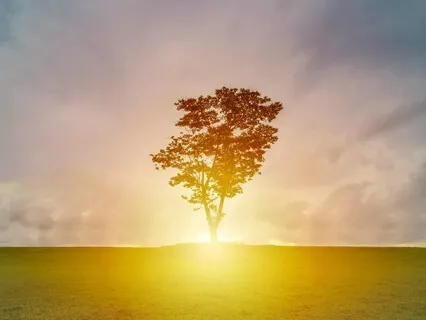 Рождение Намерения