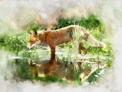 Ruby The Red Fox - Children's Guided Meditation 
