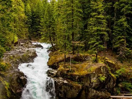 Rudranamaskāra-Aantra | A Chant For Protection & Healing