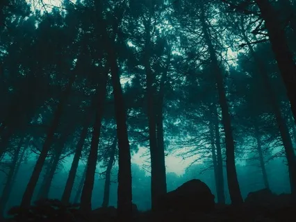 Rumbling White Noise (With Subtle 528Hz Lift)