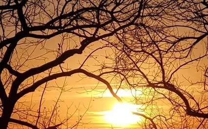 Rumi: Moments With Rumi