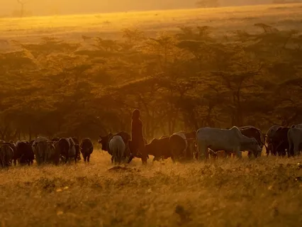 Rumi, On Being True To Ourselves