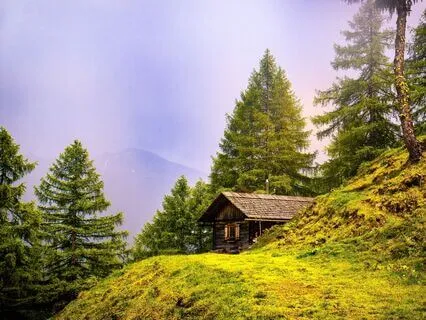Rumi Poem: The Guest House
