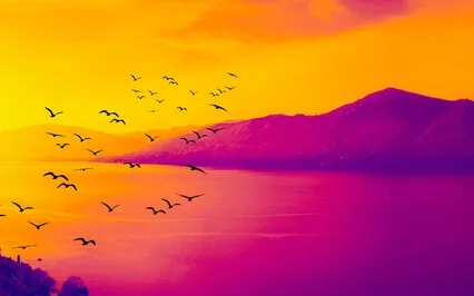 Rumi: Quiet Moments With Rumi