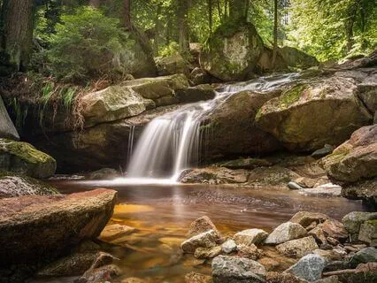 Rumi’s Field Of Meeting: Beyond Right And Wrong