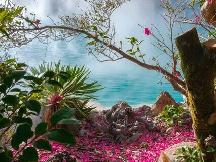 Rumi's Garden Of Dreams: A Bedtime Journey To The Infinite