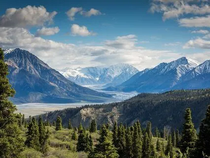 Rumi’s Journey: Embrace Your Cosmic Dance