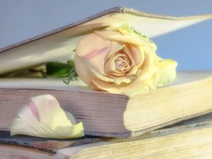 Rumi's Radiant Journey: A Bedtime Story