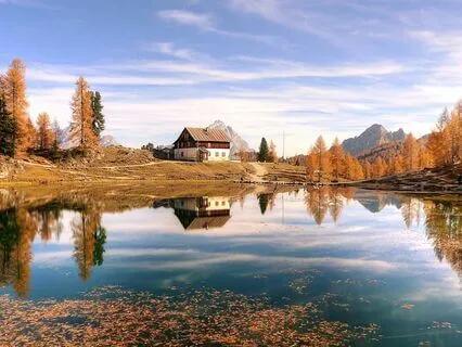 Rumi’s Silent Voice: Listen Beyond Words