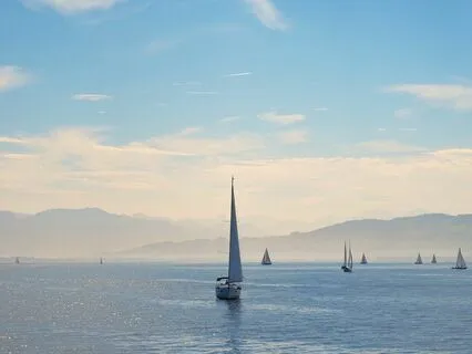 Rumi's Starlit Journey