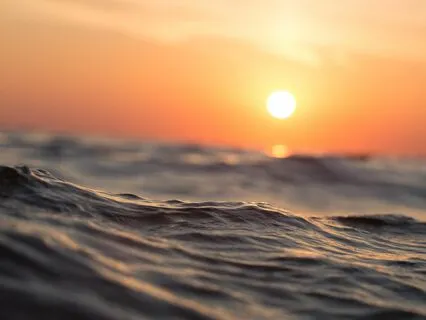 Rumi's The Sun Within: A Bedtime Journey To Inner Light