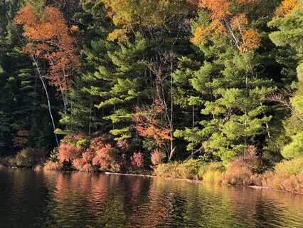 Rumi: Soulful Thoughts By The Mystical Sufi Poet