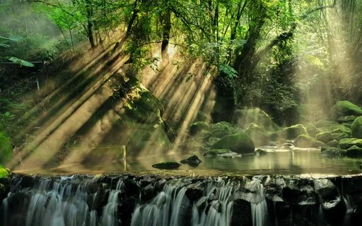 Rumi: The Guest House