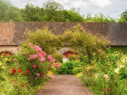 Rumi: The Guesthouse