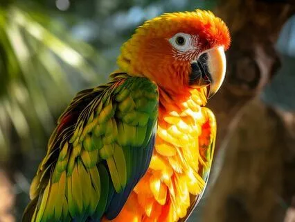 Rumi: The Parrot And The Grocer