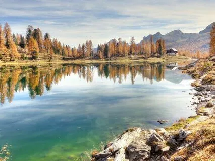 Rumi: The Path Emerges As You Walk