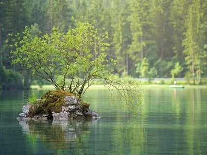 Rumi: The Universe Is Within You