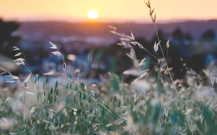 Ruminating, Making A Case, Relitigating