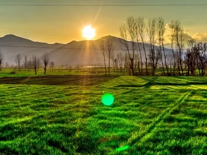 Runaway - Complete Restoration - Body, Mind & Spirit Healing