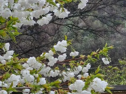 Running River, White Noise For Sleep