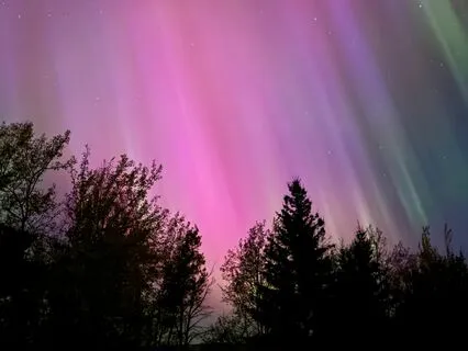 Running Wolfs Heartbeat