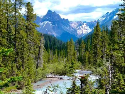 Rushing Mountain River - Immersive Nature For Focus (30 Min)