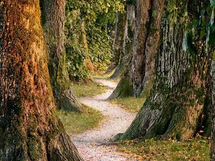 S2E11: Awareness, Anxiety, Nervousness & Fear - Human Design