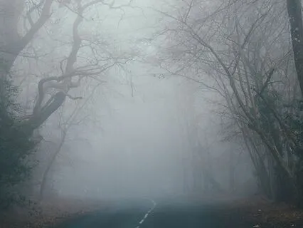 S2E12 - Existential Fears In Business (Human Design)