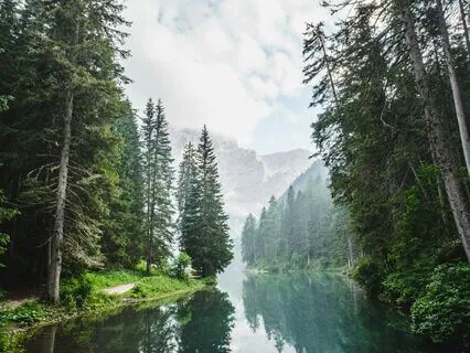 S2E15 - Fears In Your Human Design Circuitry & Business