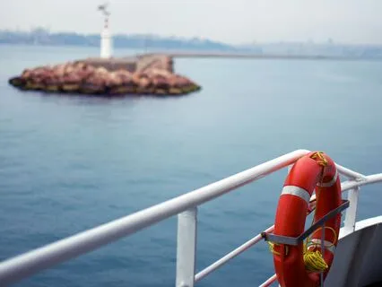 S2E31 - The 5 / 1 Human Design Profile In Business