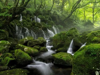 S2E35 - Human Design Circuits: Life, Love & Purpose