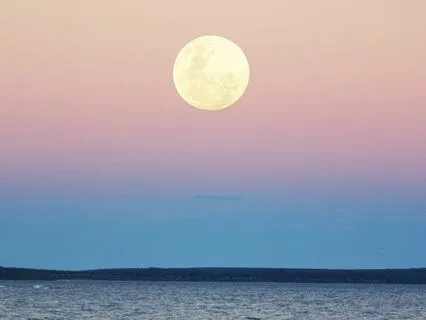 S2E8 - Reflector Emotional Intelligence In Human Design