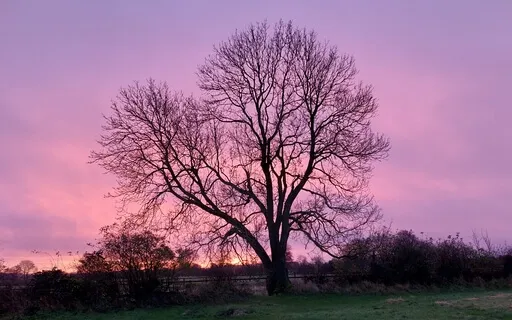 Sa Ta Na Ma - Cycle of Life ( Infinity Life Death Rebirth )
