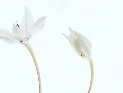 Sa Ta Na Ma Meditation