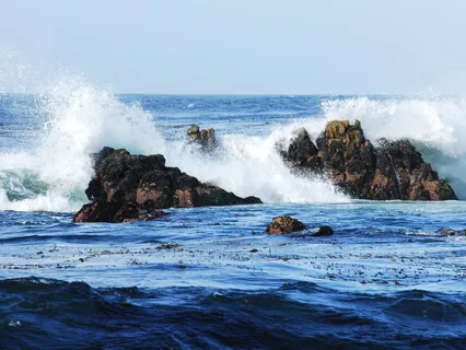 Sa Ta Na Ma Ra Ma Da Sa Sa Say So Hung