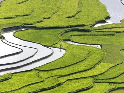 Sacral Chakra Sound Healing