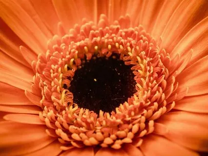 Sacral Chakra 417 HZ with Silent Affirmations