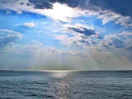 Connect To Creativity: Sacral Chakra